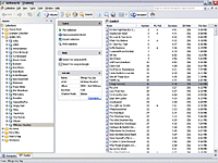 Развернутый вид Корзинки